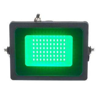 Eurolite LED IP FL-30 SMD outdoor lamp groen