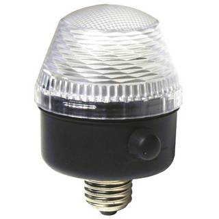 Showtec City Flash stroboscoop lamp