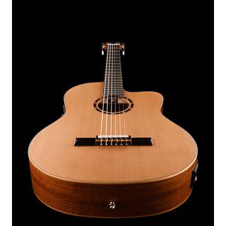 Ortega Family Series Pro RCE131SN klassieke gitaar met gigbag