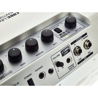 Roland Cube Lite Monitor instrumentversterker met iOS interface