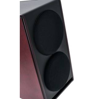 Focal Trio6 BE Red Burr Ash