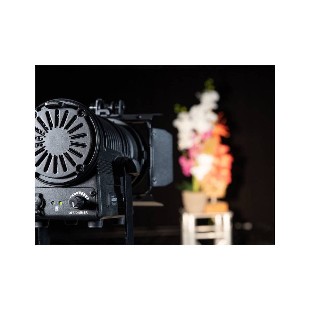 Eurolite AKKU THA-20PC theater spot