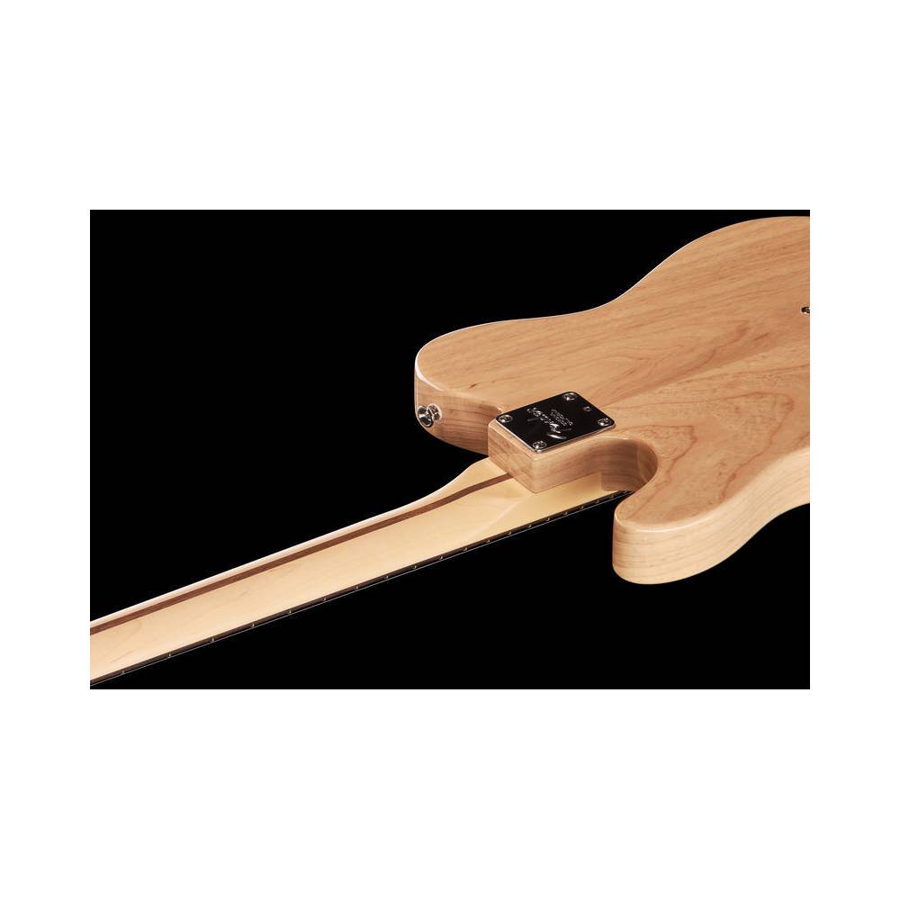 Fender American Professional Telecaster RW Natural