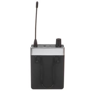 LD Systems U508 IEM HP set met in-ears (bandgap + ISM)