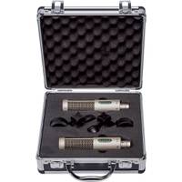 Royer Labs R-10 Matched Pair ribbon microfoon stereo set