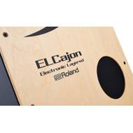 Roland EC-10 El Cajon