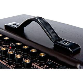 Roland AC-60 Rosewood