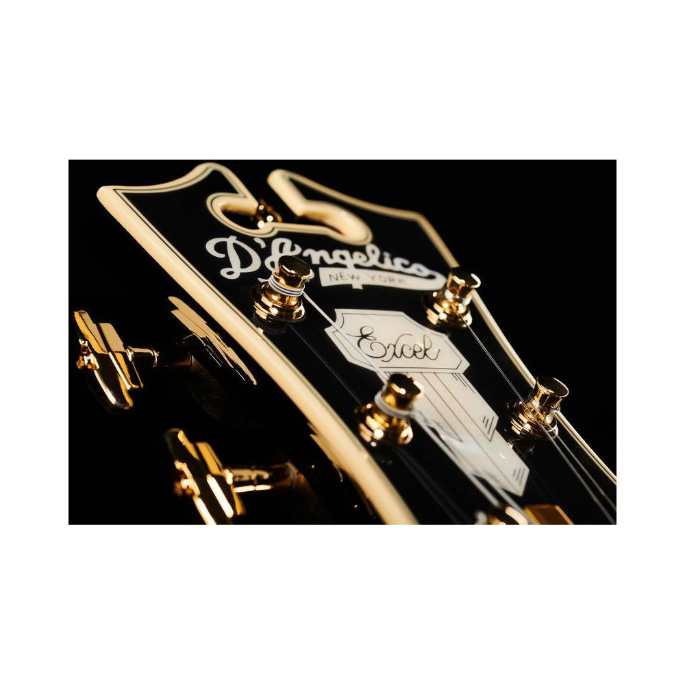 D'Angelico Excel 59 Black Dog semi-akoestische gitaar met koffer