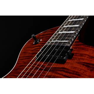 ESP LTD Deluxe EC-1001 Tiger Eye elektrische gitaar