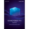 Sound Forge Pro 15 Suite (download)