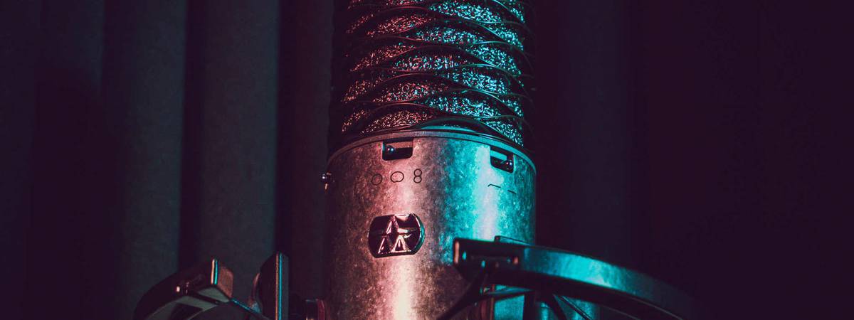 Bezwaar energie cement Studio microfoon kopen? De beste studio microfoons [onder 150 euro!] -  InsideAudio