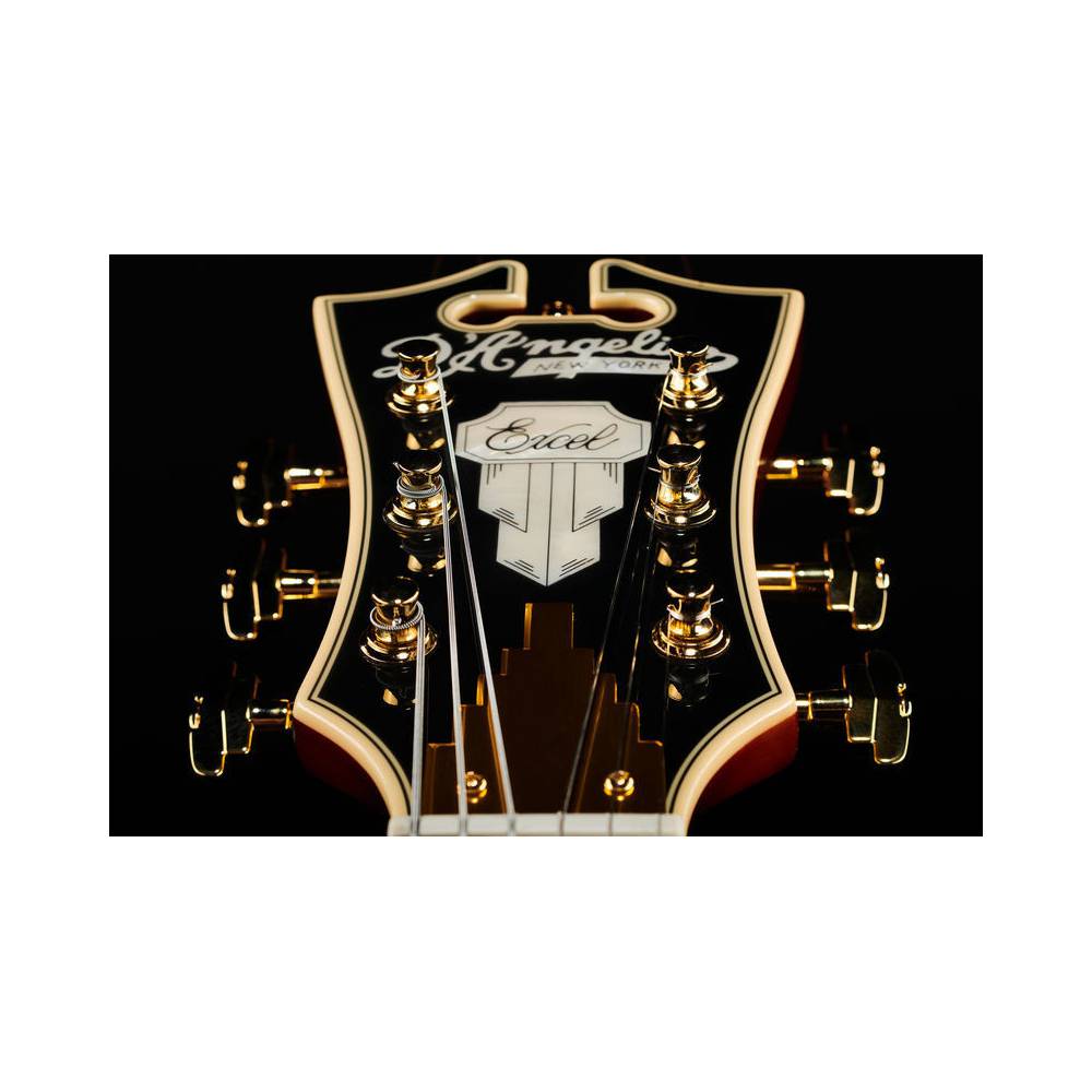 D'Angelico Excel 59 Viola semi-akoestische gitaar met koffer