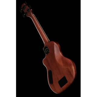 Gold Tone ME-BASS/FL fretloze elektrische Microbass met draagtas