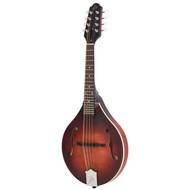 The Loar LM-110-BRB A-stijl mandoline burst