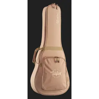 Taylor GS Mini LH