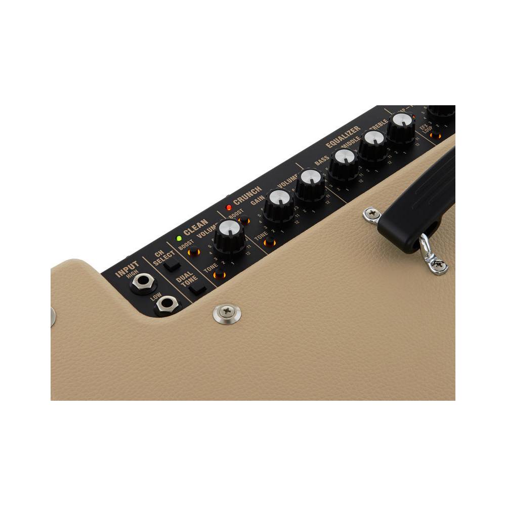 Roland Blues Cube Artist