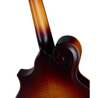 THE LOAR LM-590-MS