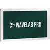 Steinberg WaveLab Pro 11.1 audio editor