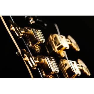 D'Angelico Excel 59 Black Dog semi-akoestische gitaar met koffer