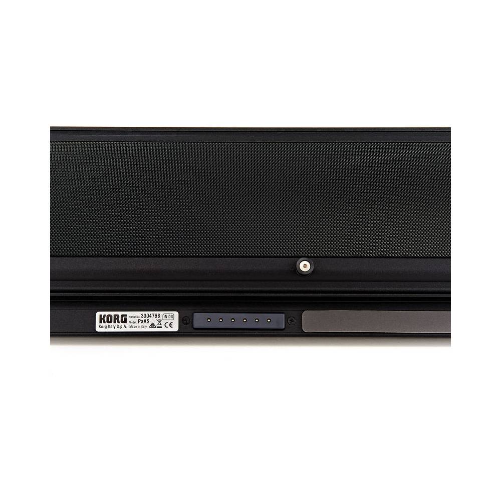 Korg Pa4X-61 Oriental