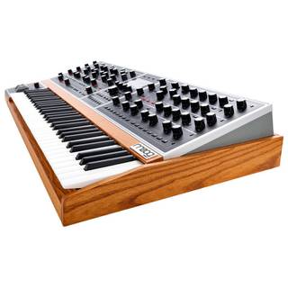 Moog ONE Polyphonic 8 Voice