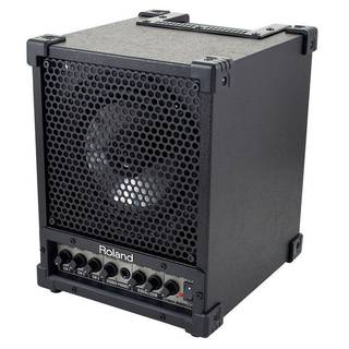 Roland CM-30 Cube Monitorspeaker