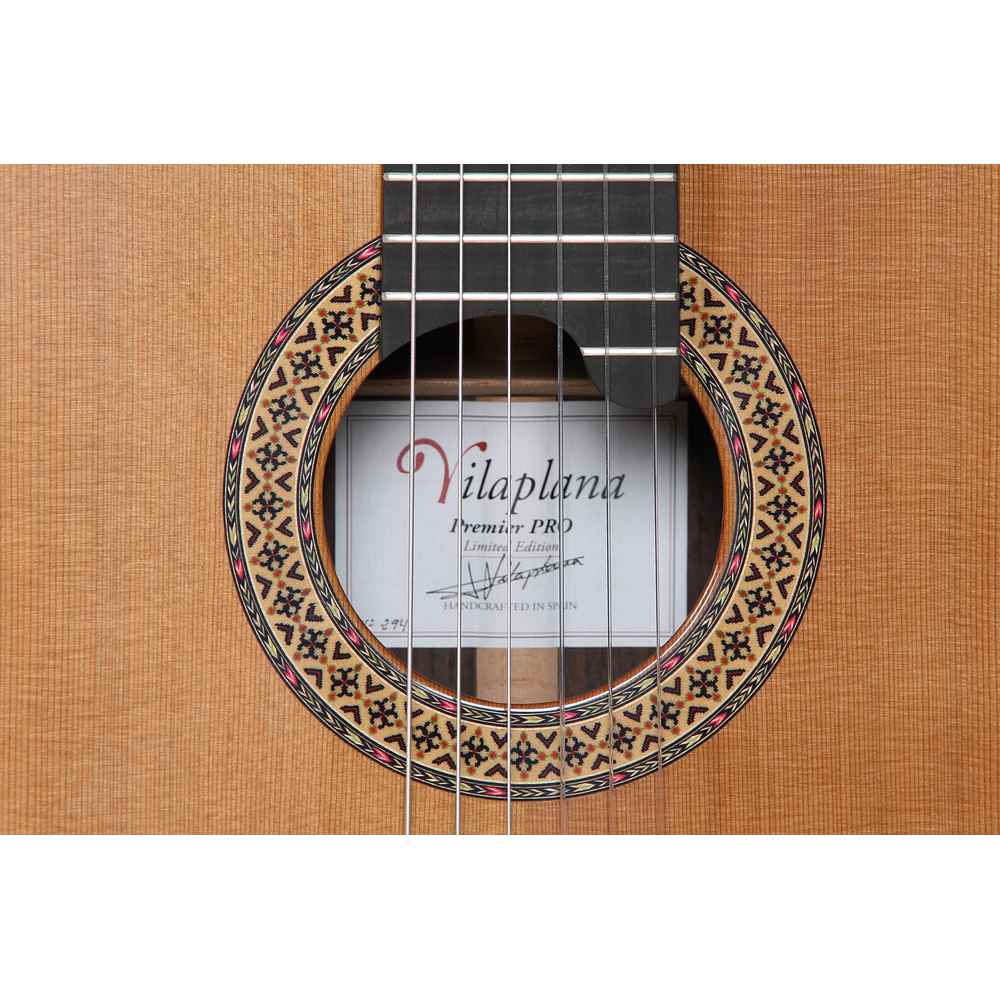 ALHAMBRA Premier Pro Exotico   case - 7628