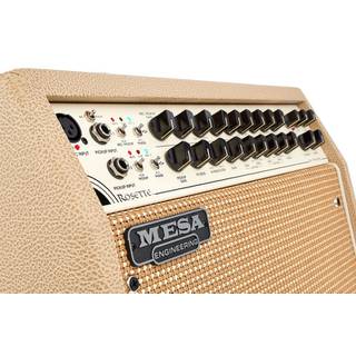 Mesa Boogie Rosette 300 / Two:Eight akoestisch gitaarcombo