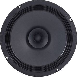 Visaton BG 20 8 inch fullrange speaker 70W 8 Ohm