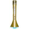 iDance Party Mic PM-10 Gold karaokemicrofoon met bluetooth