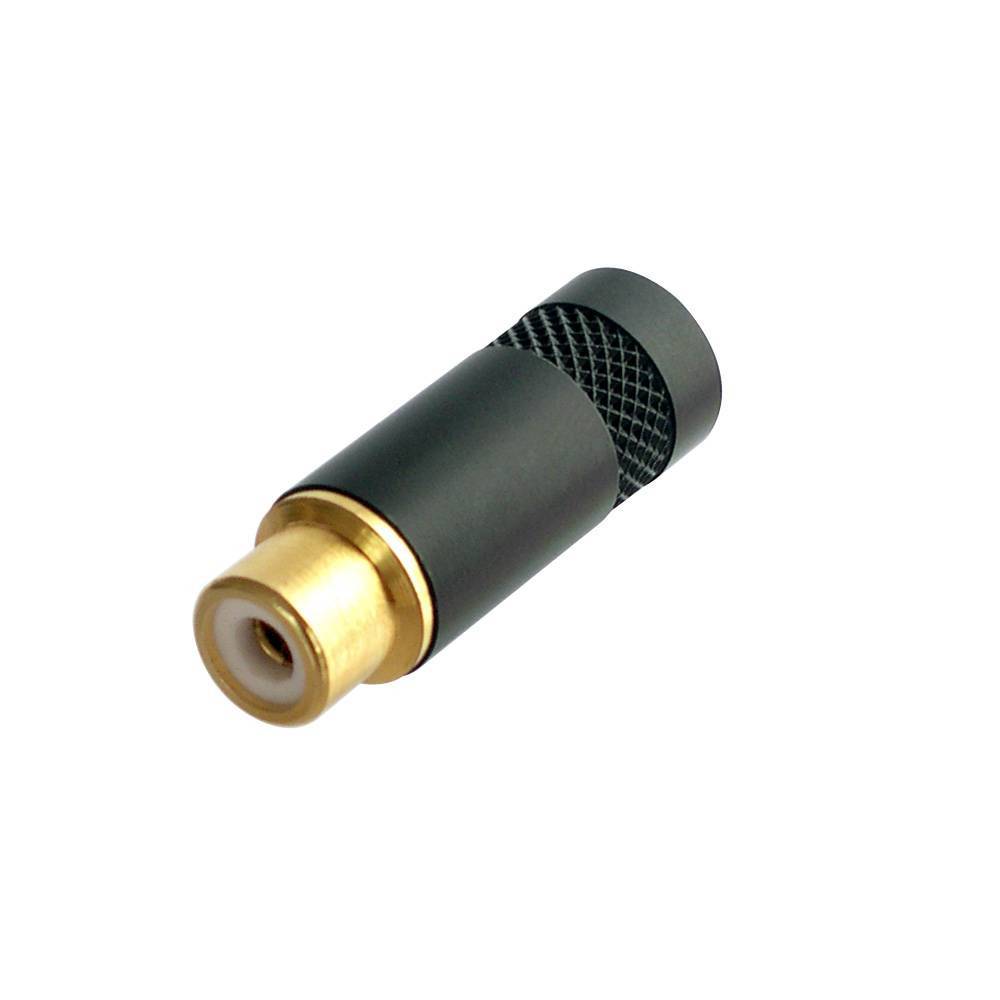 Rean NYS354 RCA chassisdeel