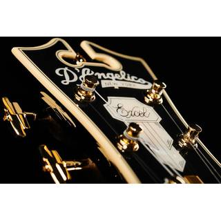 D'Angelico Excel 59 Black Dog semi-akoestische gitaar met koffer