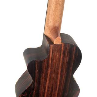 Ortega Timber Series RGL5EB-CE guitarlele