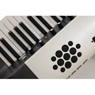 Korg SV2 73S stage piano