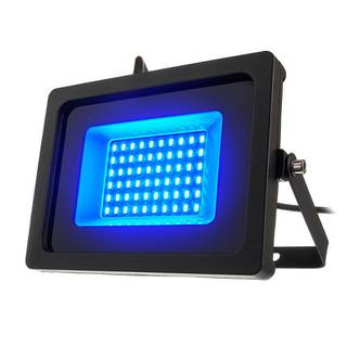 Eurolite LED IP FL-30 SMD outdoor lamp blauw