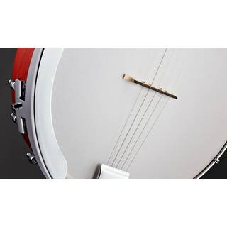 Epiphone MB-100 Banjo Natural 5-snarige banjo