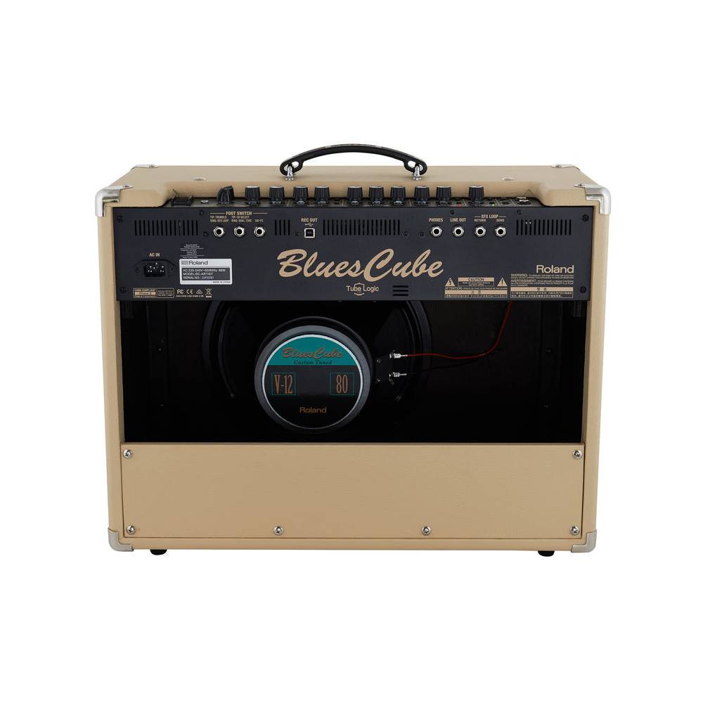 Roland Blues Cube Artist