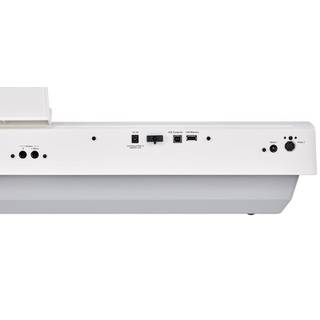 Roland FP-30X digitale piano wit