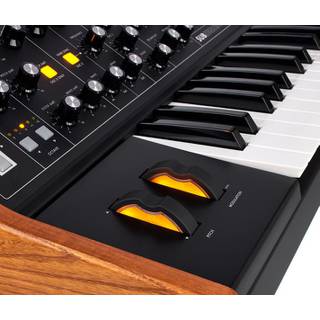 Moog Subsequent 25 parafonische analoge synthesizer