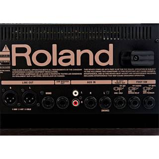 Roland AC-60 Rosewood