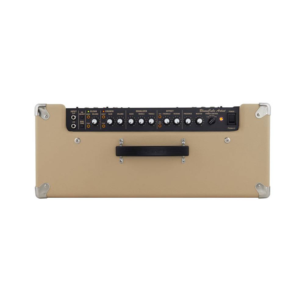 Roland Blues Cube Artist