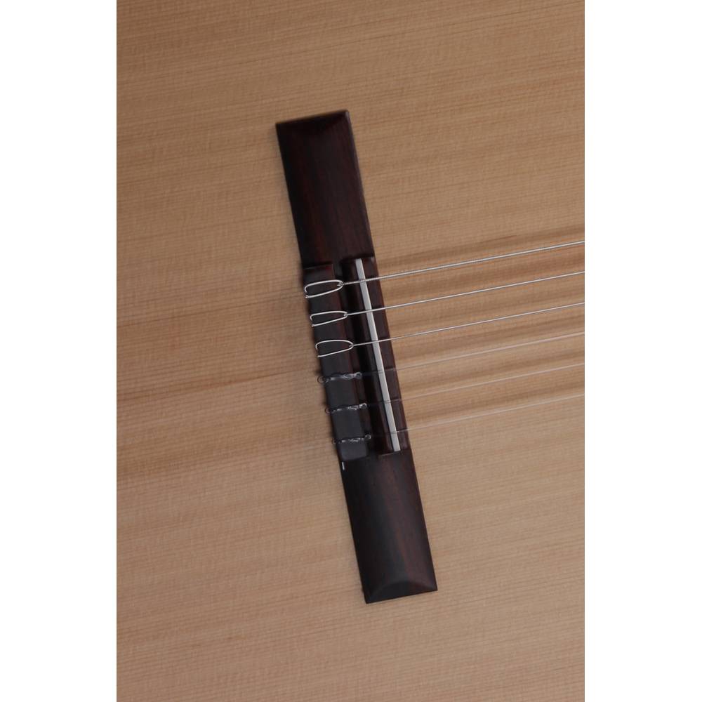 ALHAMBRA 2F Pickguard - 8201