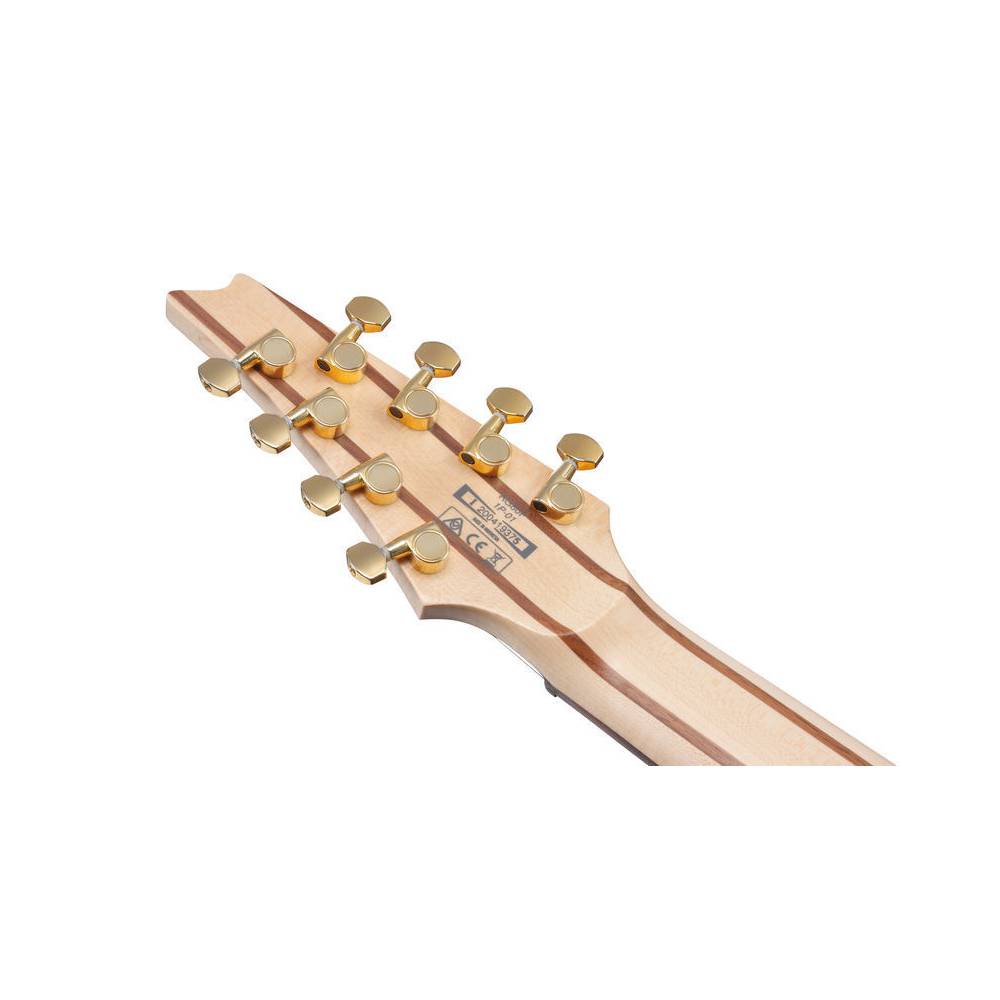 Ibanez RG80F Iron Pewter 8-snarige elektrische gitaar