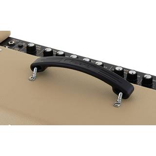 Roland Blues Cube Artist