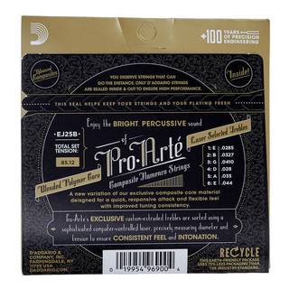 D'Addario EJ25B Pro-Arte Composites Flamenco Guitar Black Nylon