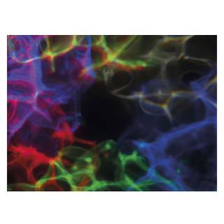 Showtec Dreamwave LED lichteffect