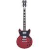 D'Angelico Premier Brighton Oxblood elektrische gitaar met gigbag