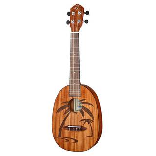 Ortega Pineapple Series RUPA5MM concert ukelele naturel