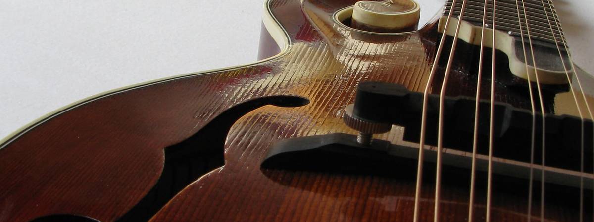 afstuderen Eed Glimp Welke snaren heb je nodig voor de mandoline, en hoe lang kan je er mee  spelen? - InsideAudio