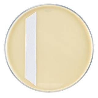 Aquarian 22 inch Modern Vintage Kick bassdrumvel